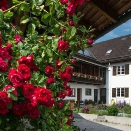 Lacherhof 아파트